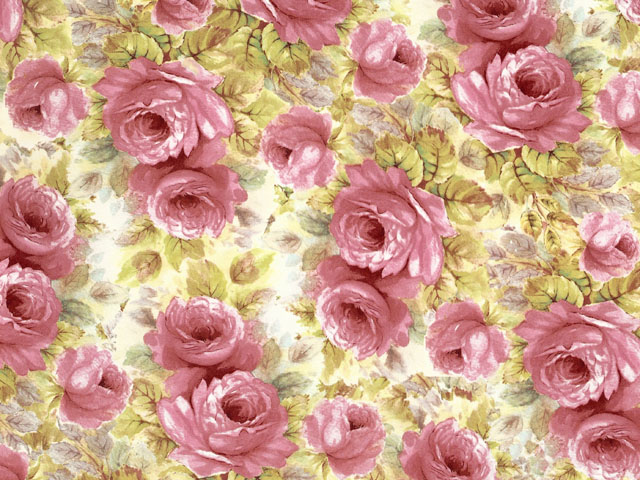 ローズ商品 Chintz ローズ 背景あり1