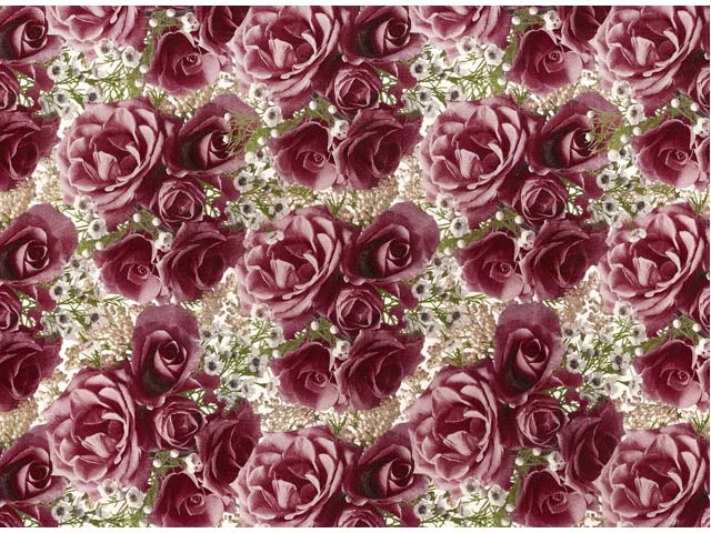 Chintz ローズ 背景あり1