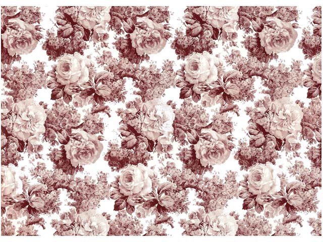 薔薇✕2 DSC06657.jpg
